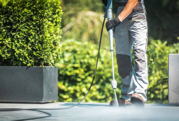 Trusted Almedia, PA Pressure Washing Services Experts